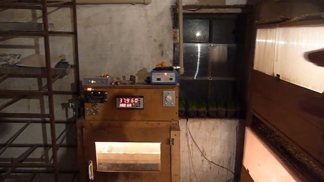 Перепелятник изнутри / Последние изменения // Жизнь в деревне смотреть онлайн