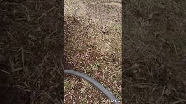 КРОТ - МЫ ТЕБЯ НЕ ЗВАЛИ !!! 😃😃 смотреть онлайн
