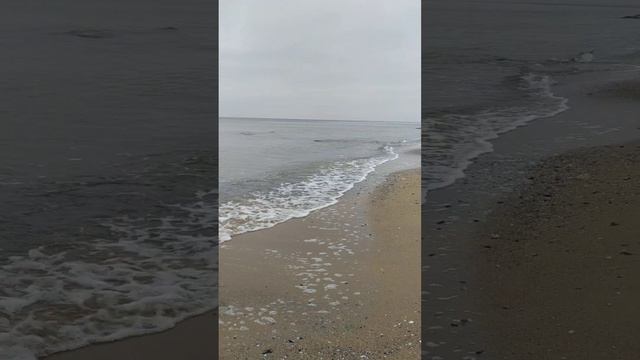 Черное море 19 марта 2023 года вода холодная и чистая бодрость и хорошее настроение смотреть онлайн
