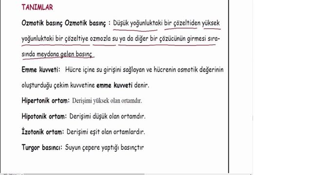 Difüzyon çeşitleri ve aktif taşıma смотреть онлайн