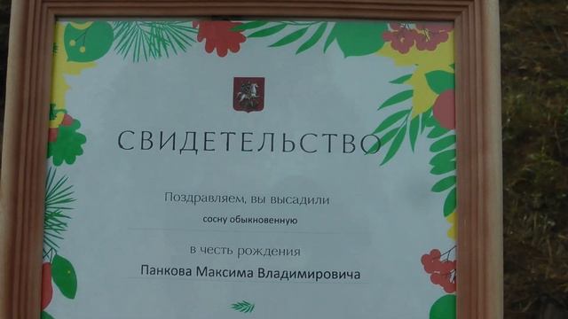 Посадили наше дерево смотреть онлайн