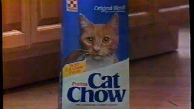 1985 Purina Cat Chow "New improved - you're a part of me" TV Commercial смотреть онлайн