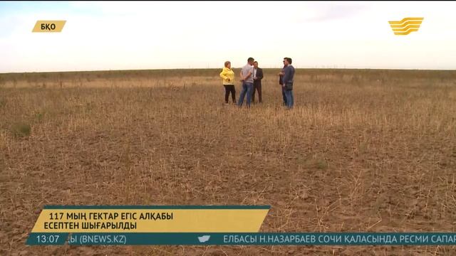 БҚО-да 117 мың гектар егіс алқабы есептен шығарылды смотреть онлайн