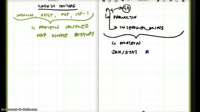 G Protein Coupled Receptor - MAP / KINASE PATHWAY PART 1 смотреть онлайн