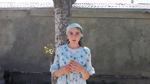 рассказываем о природе смотреть онлайн