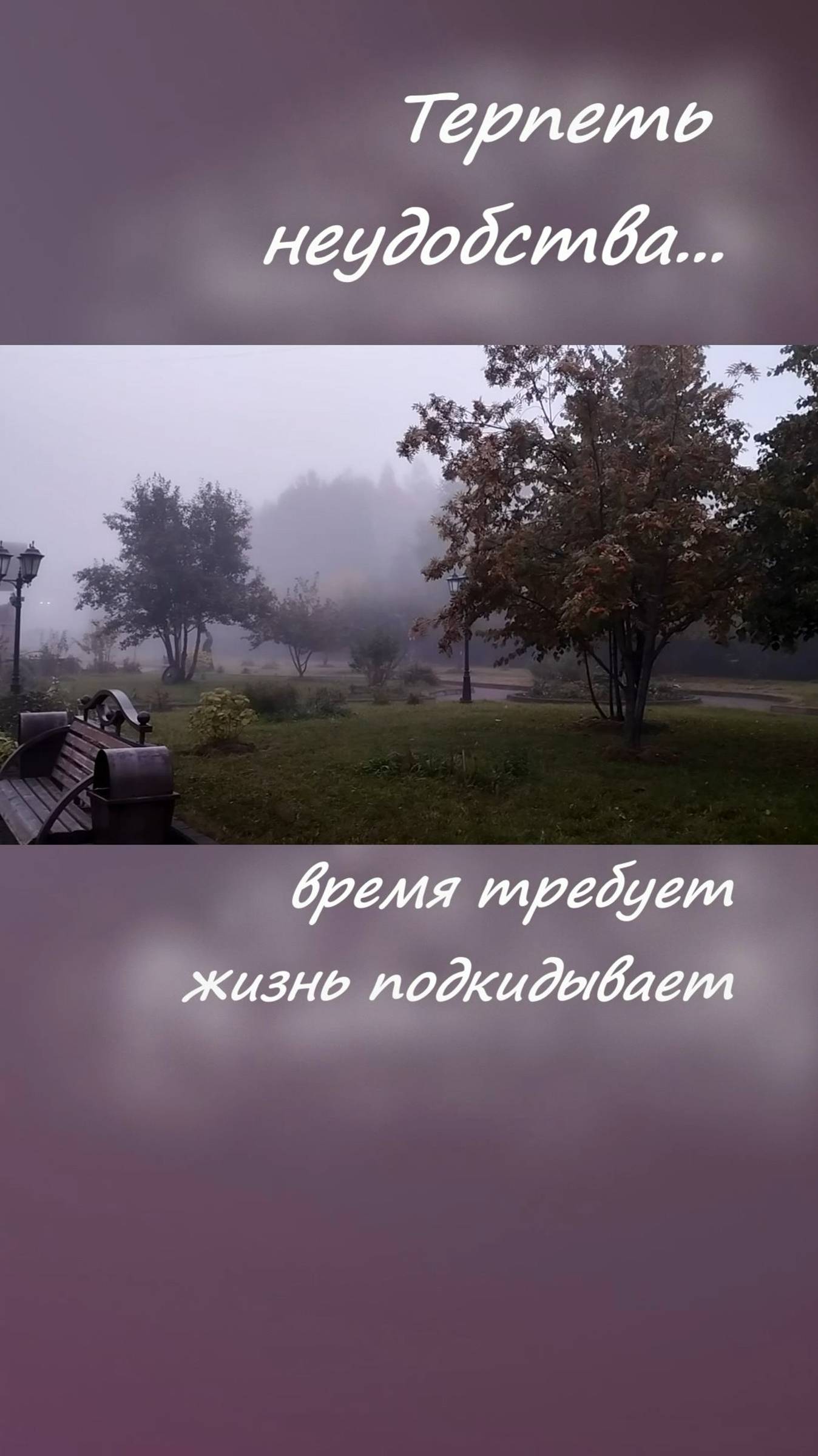 Время лишений и потери комфорта... #shorts смотреть онлайн