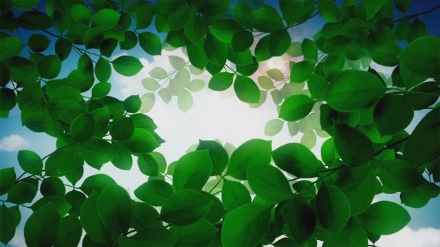 Técnica de los Fosfitos a partir de los huesos смотреть онлайн