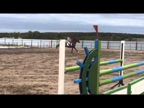 Лалова Екатерина 28.06.14 смотреть онлайн