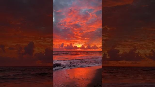 Summer of my Heart 🌸 Sunset on the Beach #chill #relax смотреть онлайн