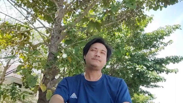 บุหรี่ ARK Royal Sweet смотреть онлайн