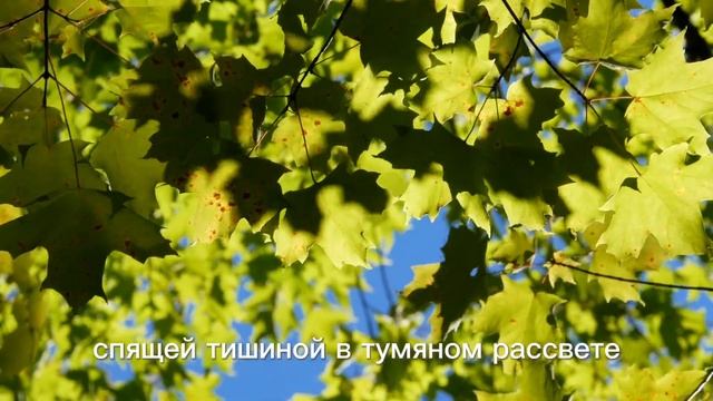 Терапевтические сказки из книги "Живая женщина", автор Мария Хомякова. Читает Ольга Сычугова. смотреть онлайн