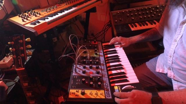 Moog Grandmother + DFAM // Second Test With Strymon El Capistan & RML Electron Fuzz Custom