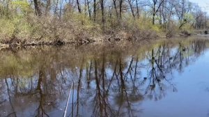 С маховой удочкой на течении.