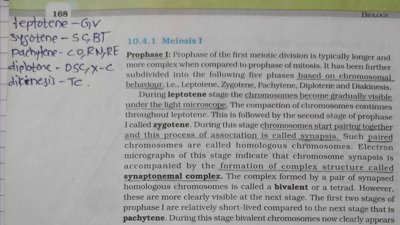 Cell cycle and cell division short Tricks For NEET смотреть онлайн