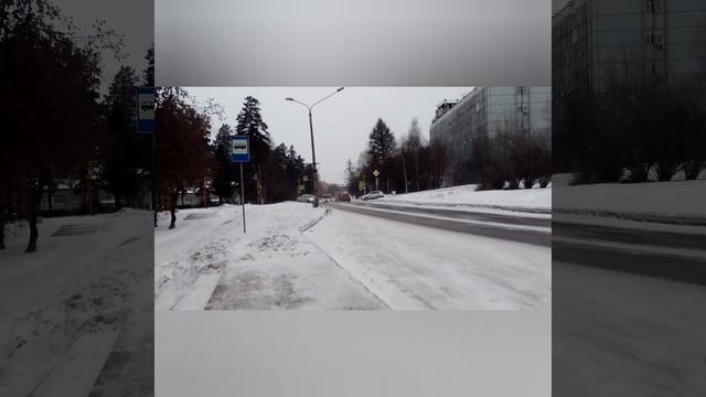 Автобус Паз 3204.