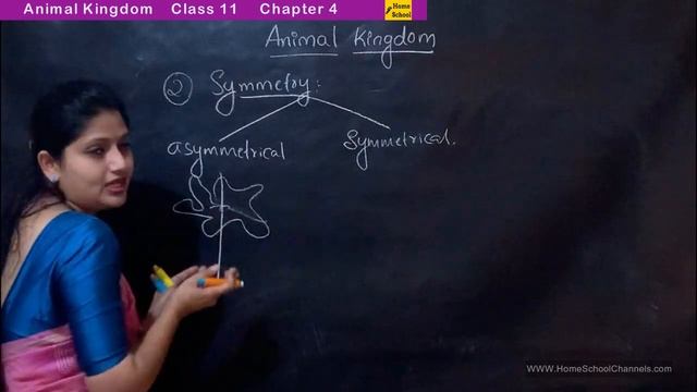 Animal Kingdom Class 11 Biology | Full Chapter | NEET | Part-1 смотреть онлайн