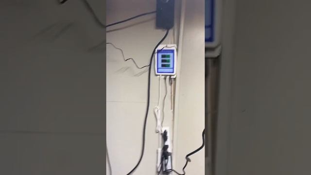 Flora flex set up смотреть онлайн