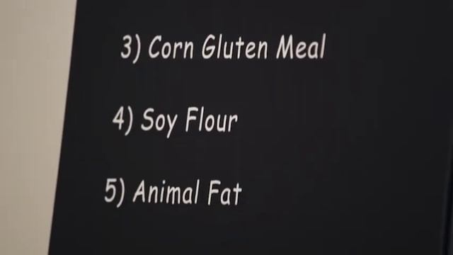 BLUE vs. Purina Cat Chow® | Blue Buffalo Cat Food смотреть онлайн