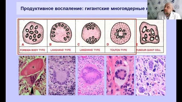 25.04.22, 9.30-11.05. 2ЛФ, В, Д смотреть онлайн