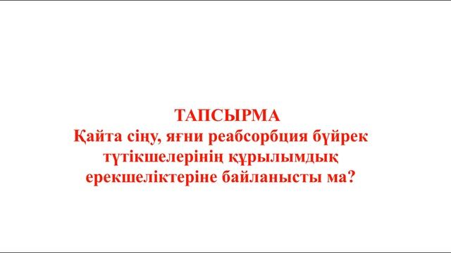 10 класс Биология Зәрдің түзілу процесі смотреть онлайн