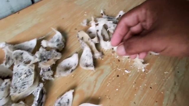 Sarang burung walet|| mau tau dalam satu kilo berapa keping sarang burung walet смотреть онлайн