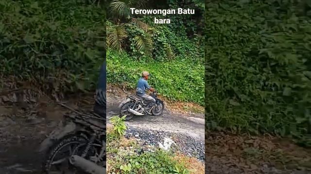 penualan batu bara смотреть онлайн