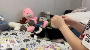 ВЛОГ. Опять болеем. Снова новые игрушки / Мисс Фаина влог