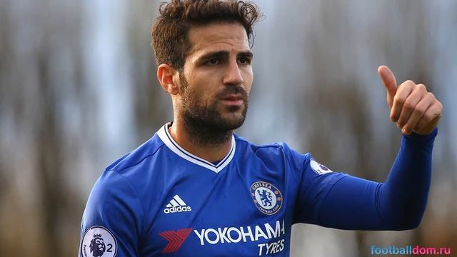 Бутсы Сеска Фабрегаса PUMA evoTOUCH Pro смотреть онлайн