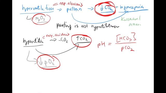 ABB 3 by ENG (hyperventilation, Kussmaul, hypoventilation, renal osteopathy, MAC, r. insufficiency) смотреть онлайн