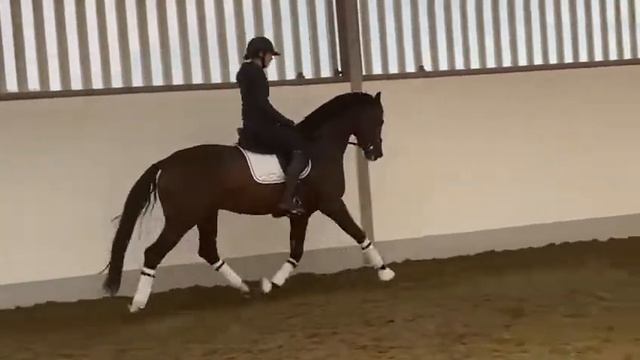 Nobel:BLUE HORSE FARRELL x ELECTRON смотреть онлайн