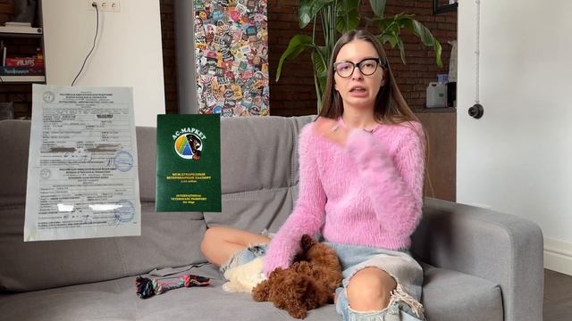 Той пудель | Все что нужно знать перед покупкой щенка | Перый день щенка дома | Исполнила мечту смотреть онлайн