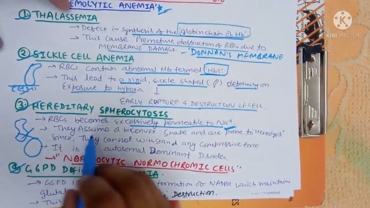 Left Portion Of Anemia .(Blood Physiology). Rajeev. Gs Medical College, Hapur. смотреть онлайн