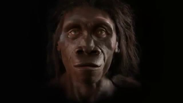 Эволюция человека за 2 часа смотреть онлайн