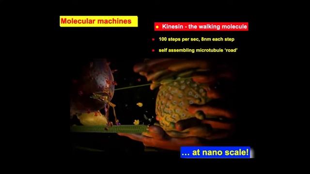 Answering the Atheists | World Religions & Cults | - AIG Conference смотреть онлайн