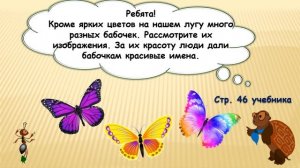 Почему мы не будем рвать цветы и ловить бабочек