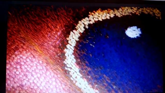 🎬🎥🎦🔬🔬Угадай предмет под микроскопом…🔬🔬🔬🎁 смотреть онлайн