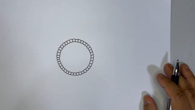 How to draw easily TS of frog blastula || step by step tutorial || SalimZ AcademY смотреть онлайн