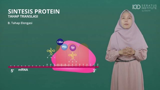 Materi Biologi - 15. Gen dan DNA смотреть онлайн