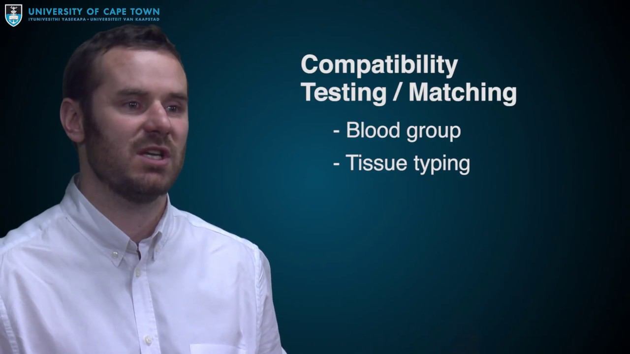 The Medical Assessment of an Organ Donor смотреть онлайн