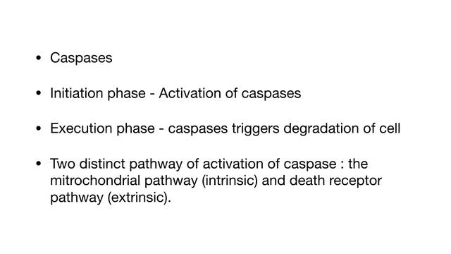 Apoptosis (Programmed Cell Death) смотреть онлайн