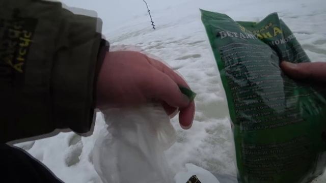 Зимняя рыбалка . Клюёт на каждом опускании мормышки смотреть онлайн