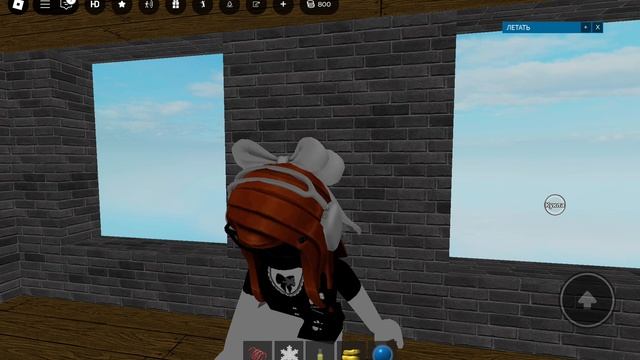 Ragdoll Video