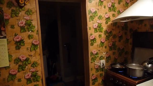 Переезд в деревню / История нашего дома // Жизнь в деревне смотреть онлайн