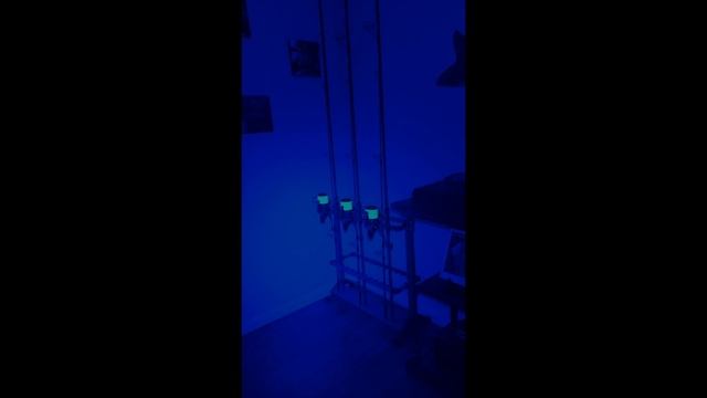 Katran Synapse Neon Carp Fishing Line смотреть онлайн