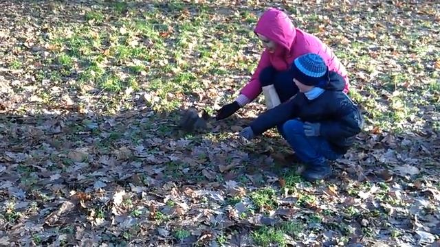 10.11.2012 - Прогулка в парке с белками смотреть онлайн