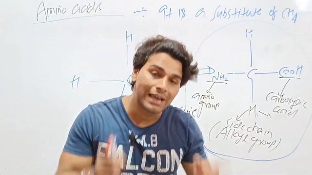 amino acids, proteins, types of amino acids, function of carbohydrates,gfor UPSC, pscs, UPPSC vinay смотреть онлайн