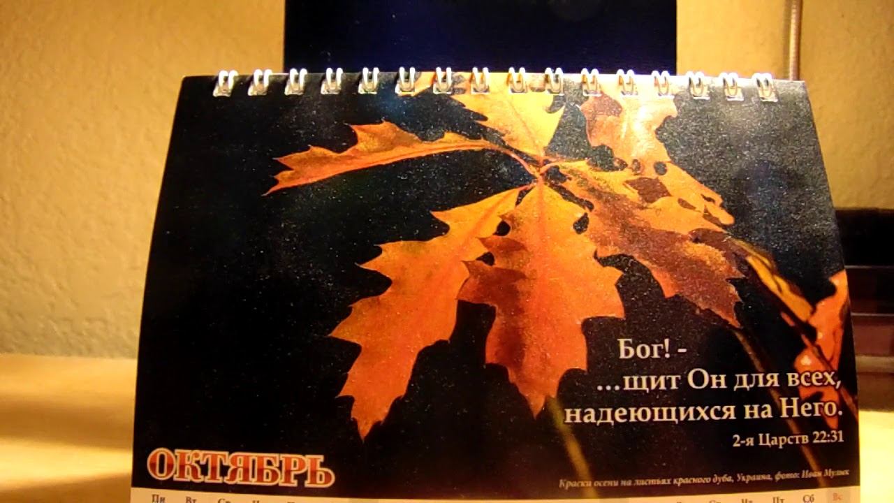 ОТВЕТЫ НА ВОПРОСЫ(Октябрь 2019)Даниэль Нистар смотреть онлайн