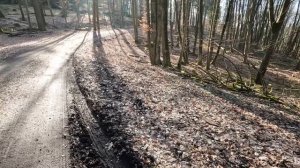 ПОЧЕМУ ДНЕВНИК ДЯДИ СЕРЁЖИ ПЕРЕОБУЛСЯ? ИЗ ГЕРМАНИИ В РОССИЮ. ГЕРМАНИЯ СЕГОДНЯ