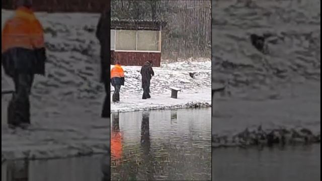 видео с водоёма смотреть онлайн