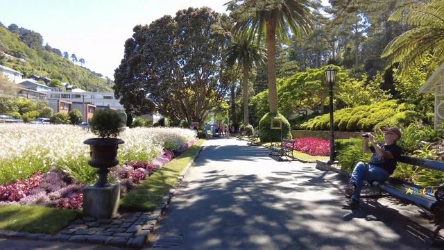 (4k) Sunday summer walk. Gardens Trail, Wellington Botanic Gardens | January 16, 2022. смотреть онлайн
